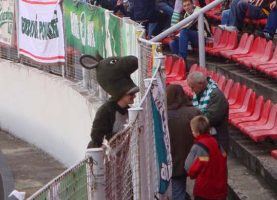 bohemians1905_mascotte