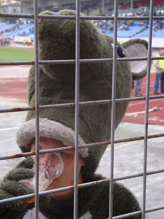 bohemians1905_mascotte7