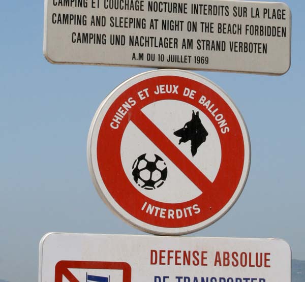 football-animal-soccer_0118