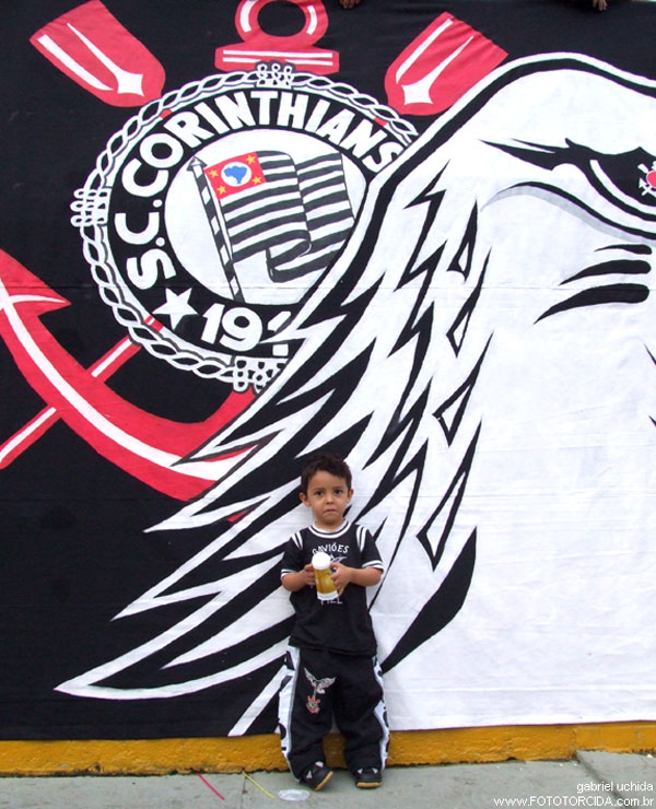 15-fototorcida
