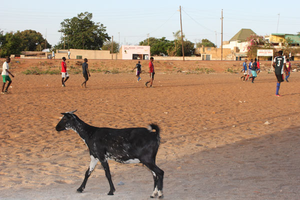 senegal-voetbalveld-5