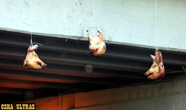 cska-ultras1