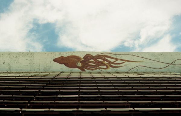 eof07 El otro fútbol