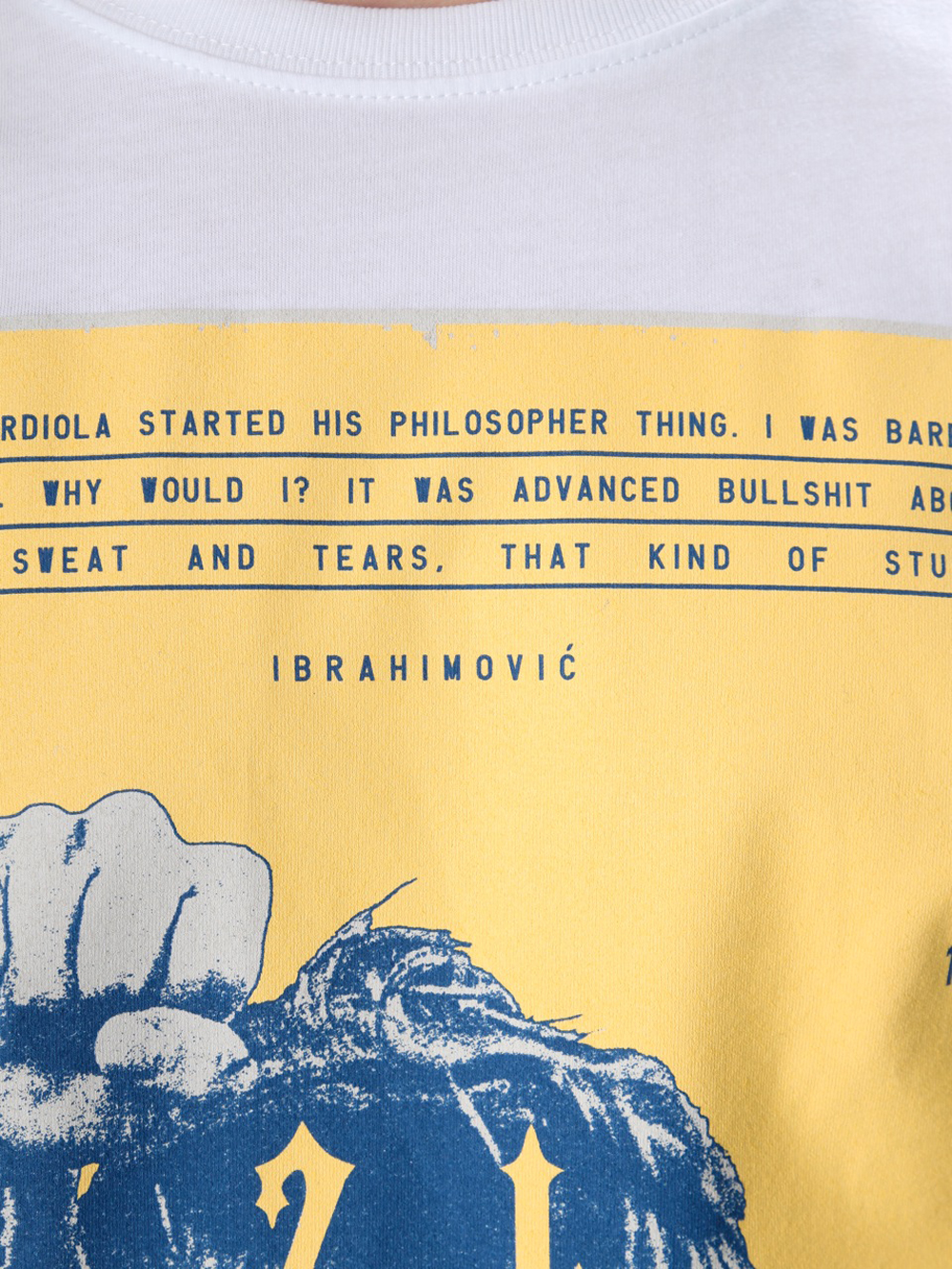 Zoran-Lucic-zlatan-ibrahimovic1